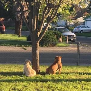 Meet your Posher, Lynette